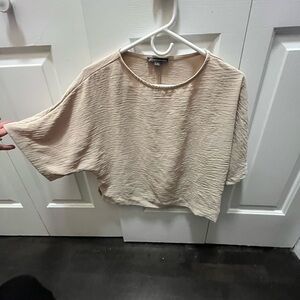 Adrianna Papell Light Tan Top